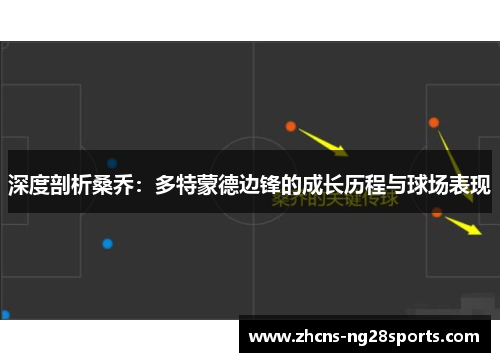 深度剖析桑乔：多特蒙德边锋的成长历程与球场表现